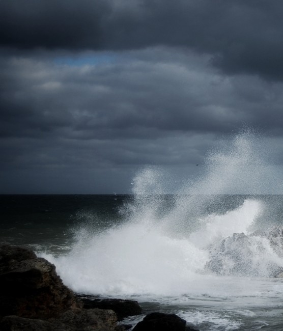 An Investors Guide to Scary Markets