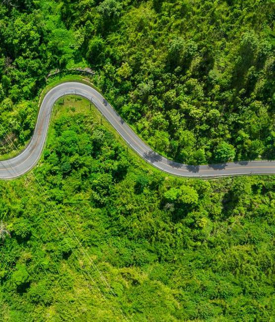 Investment Management | Our Focus in 2025