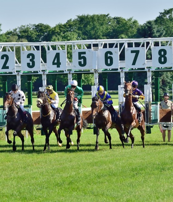 A Day at the Races