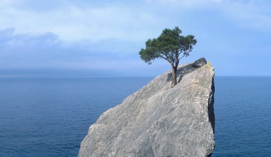 How To Be Resilient: Part 2