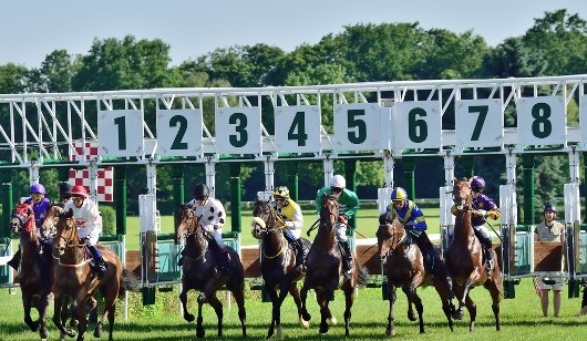 A Day at the Races